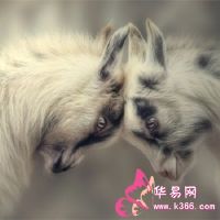 测试你大约一半