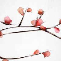 正月十三是什么神仙诞辰 关羽的诞辰故称'关公诞'