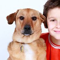 虎年男孩好听顺口好记的名字