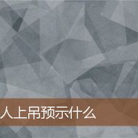 梦想有人挂着预见？