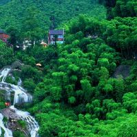 yuzhu 2022，幸运年份是什么？