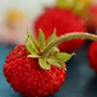 水果产品起名字