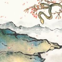 蛇的2022年2月情感财富分析黄道带蛇爱概念