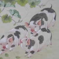 这好多个属相人愈发福，财越大，最好是不必减肥瘦身