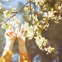 我喜欢追逐男孩。