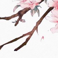 佛说正月十五出生的人命运 风调雨顺财路广