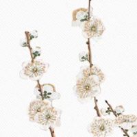 2022年正月二十二出生的男宝宝是什么命 命格优越有理想