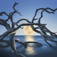 第一个月的十三个是杨贡的一天,这一天是杨公士