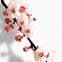 2022年正月二十三出生的女孩是什么命 为人慷慨财运畅通