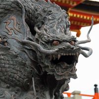 1988年,一名龙女人幸运了2022年