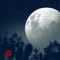 2022年2月14日是九个技巧的第二天