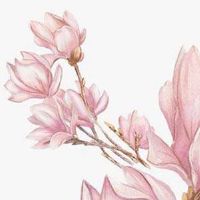 劳务公司的名称怎么取 吉利旺财的企业起名