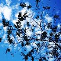 鑫海日本专栏2022，幸运年份是什么？