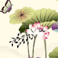 全国各地区车牌号字母都是什么 车牌摇号技巧