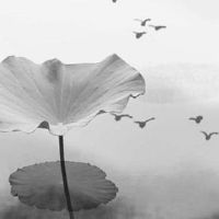 2022年正月十七是提车吉日吗 验车最好的方法