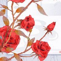 2022年，中原节是一种色调和特殊点。