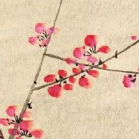 2022年正月二十七出生的男宝宝命好不好 天赋凛然能成大事