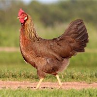 2017年的生活很多?