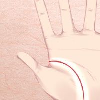 男人的手，婚姻线，格子，不温柔