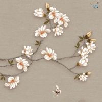 为什么老人说属虎的不好 生肖虎运程解析大全