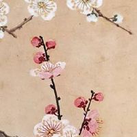 2022年正月三十出生的宝宝命好不好 为人诚实人缘颇佳