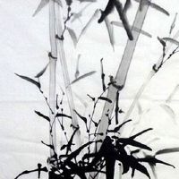 带鑫字的好听的公司名 高尚招财的企业取名