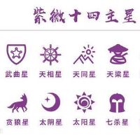 紫微斗数文昌星坐财帛宫代表什么意思