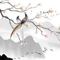 74年属虎女2022虎年运程 事业顺遂财星入命