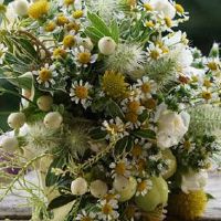 订婚双方交换什么礼物 聘金九万九爱情长长久久