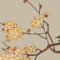 嫁给克妻男怎样化解 利用五行八卦符