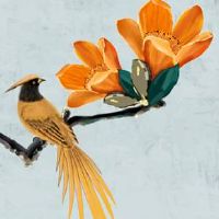 克夫克子命硬女人的下场 八字命局身旺官杀弱女命克夫