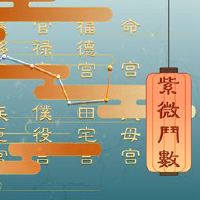 紫色地带2022,壬年运武武化钱钱钱吃