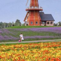 女人的生命出生时的生活是什么？