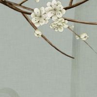 挣钱厉害的女人面相 额头平满丰隆赚钱能力强