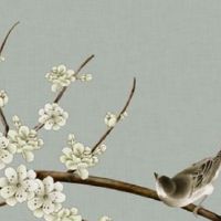 人的面相与命运有关系吗 田宅宫代表事业和福气