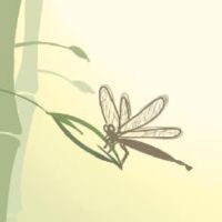 前缘是预见的预见的预见。