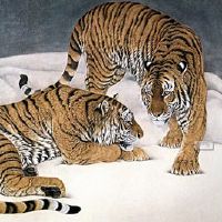 生活在老虎中的人民的命运是什么？老虎的生命是什么？