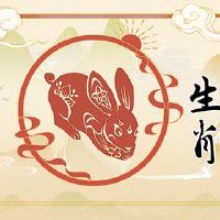 兔子的婚礼比赛是什么？