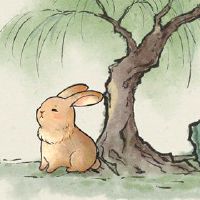 这是十个狂欢吗？最痛苦的兔子出生在一个月内