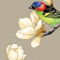 八字正缘桃花查询 什么是正缘桃花