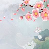 属虎的女生跟什么属相配 虎女狗男天造地设一对