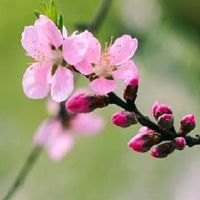 鬼最怕几月份出生的人 正月圣人胆子大