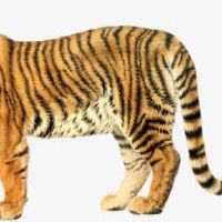 关注2022年财富有什么需要？