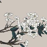 富贵面相男人特征 下巴圆润、奴仆宫丰满