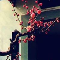 农历哪天出生的人长寿 农历出生的吉日