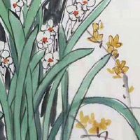 各地区车牌号是按什么来划分 最佳旺财车牌号码