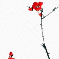 星盘看正缘出现时间 伴侣容易在25岁以前出现的星盘