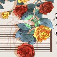 2022年年轻节是第三大生肖的3大诞生，你依靠山吗？