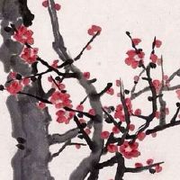 土特产实体店店名最新 高尚洋气的店铺起名