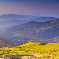 耿的陈述是什么?